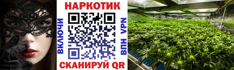 Купить закладку Альфа ПВП  Мефедрон  ГАШ  MDMA  COCAIN  Конопля  Псилоцибиновые грибы  Суворов