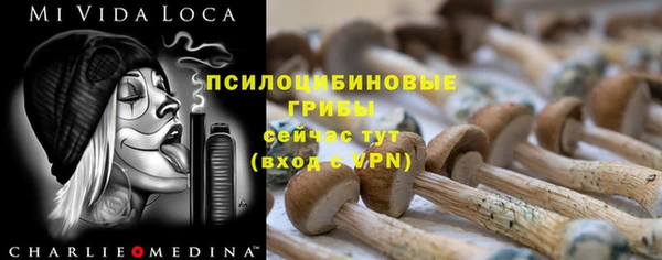 mdpv Инсар
