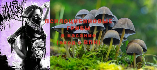 мдма Инта
